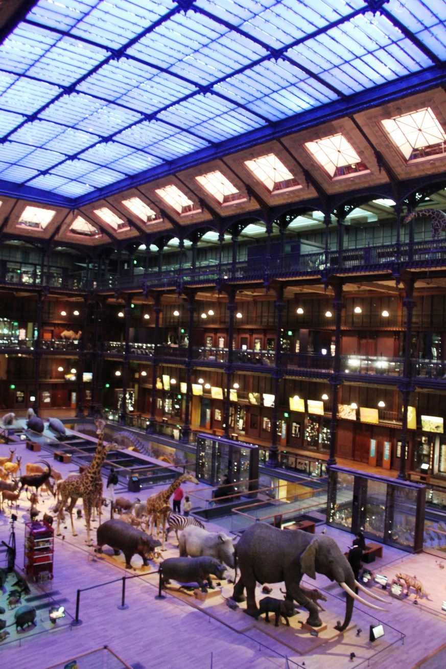 Collection datant des rois de France remontant jusqu'au 16e siècle!